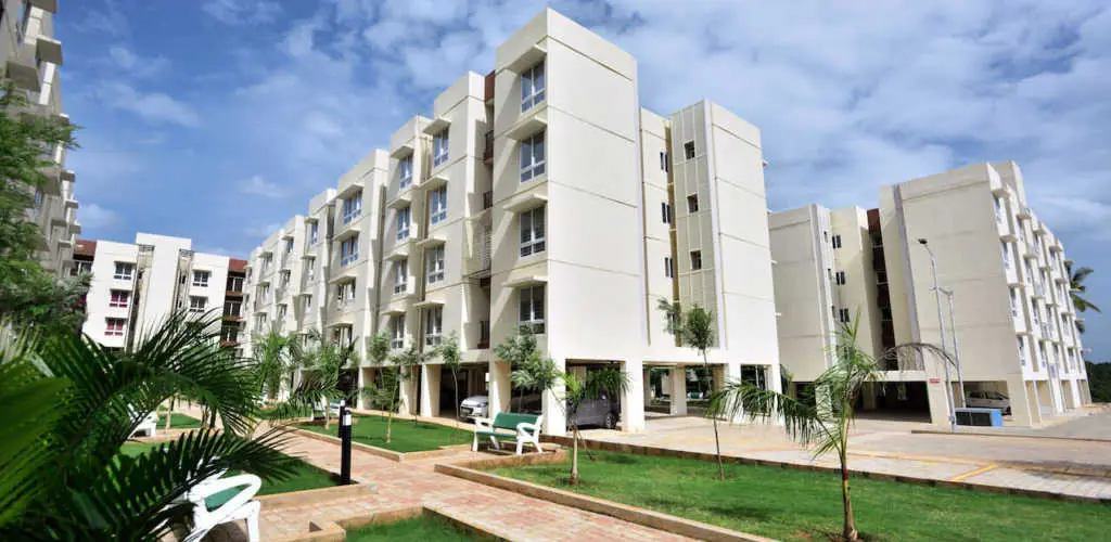 VBHC Palmhaven image