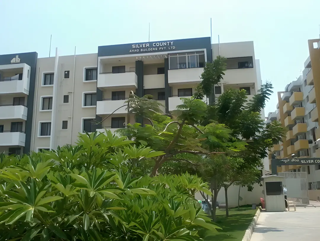 Ahad Silver County image