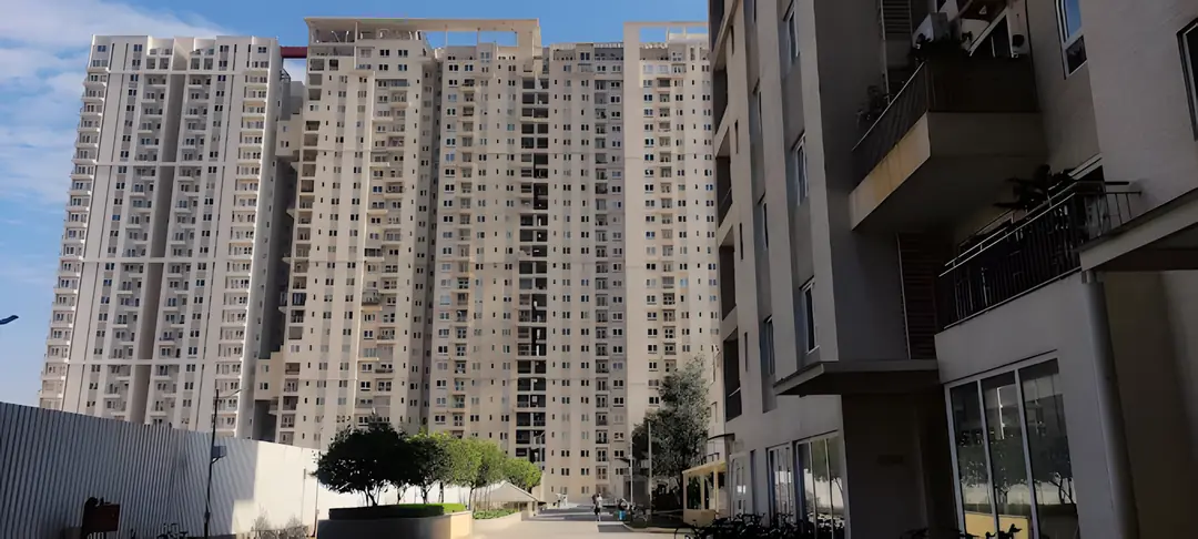 G Corp The Icon image