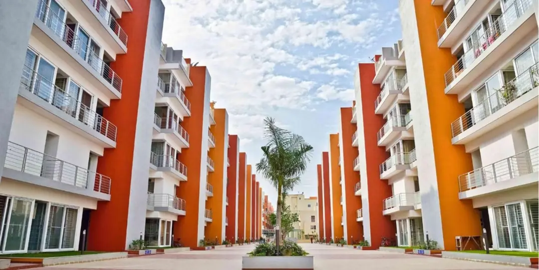 Krishvi Wisteria image